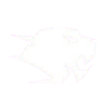 G4skins logo